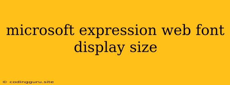 Microsoft Expression Web Font Display Size