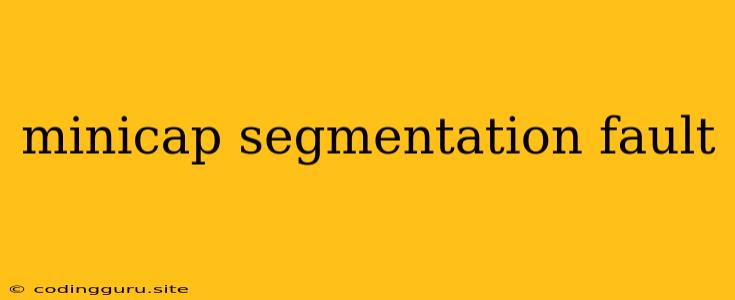 Minicap Segmentation Fault