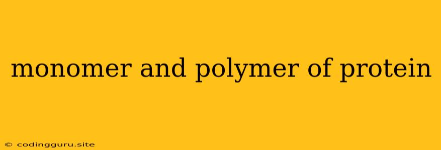 Monomer And Polymer Of Protein