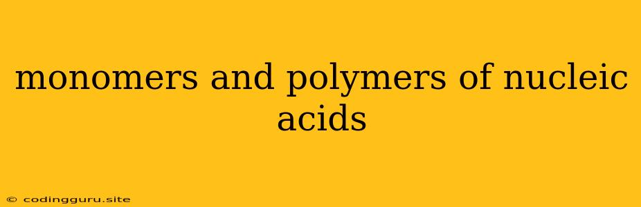 Monomers And Polymers Of Nucleic Acids