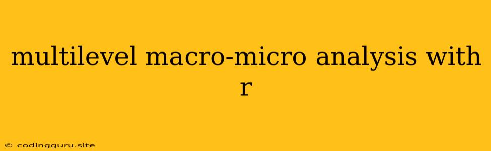 Multilevel Macro-micro Analysis With R