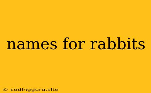 Names For Rabbits