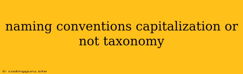 Naming Conventions Capitalization Or Not Taxonomy