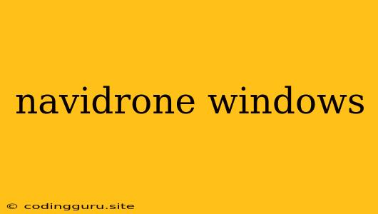 Navidrone Windows