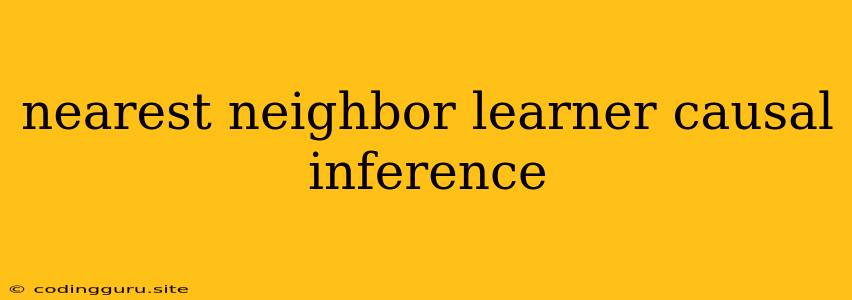 Nearest Neighbor Learner Causal Inference