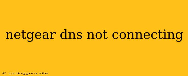 Netgear Dns Not Connecting