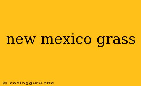 New Mexico Grass