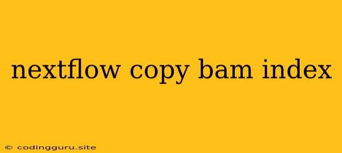 Nextflow Copy Bam Index