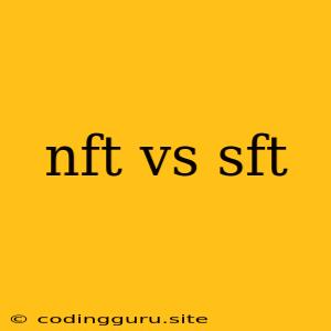 Nft Vs Sft