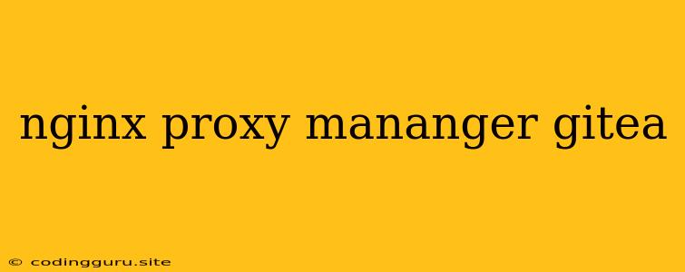 Nginx Proxy Mananger Gitea