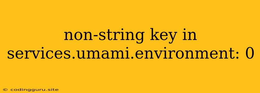 Non-string Key In Services.umami.environment: 0