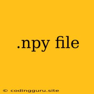 .npy File