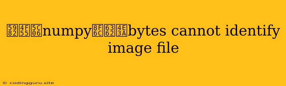 如何将numpy转换为bytes Cannot Identify Image File