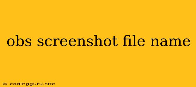 Obs Screenshot File Name