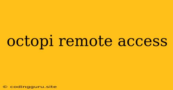 Octopi Remote Access