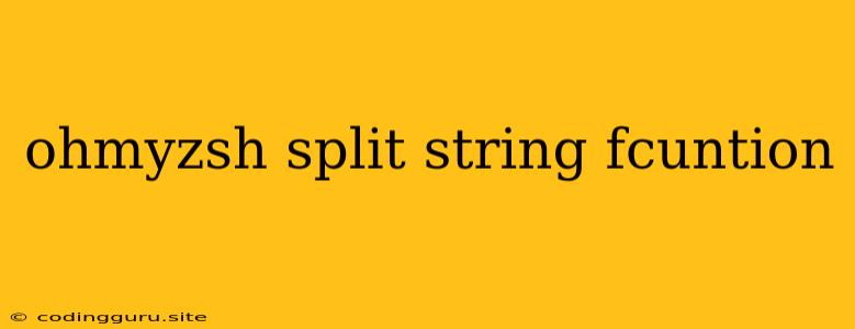 Ohmyzsh Split String Fcuntion