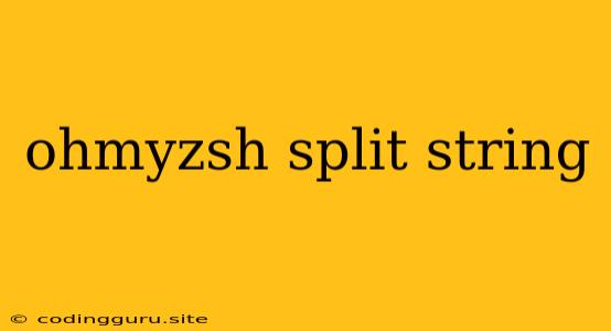 Ohmyzsh Split String