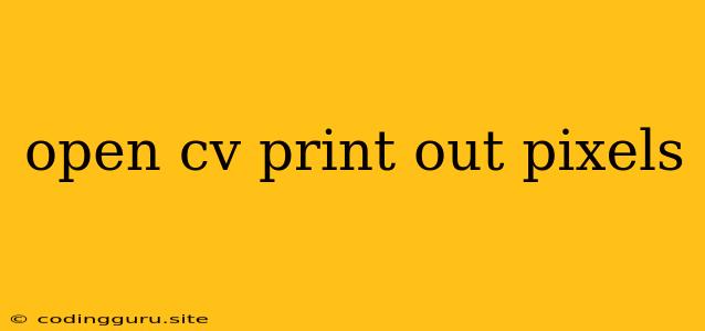 Open Cv Print Out Pixels