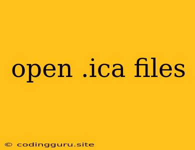 Open .ica Files