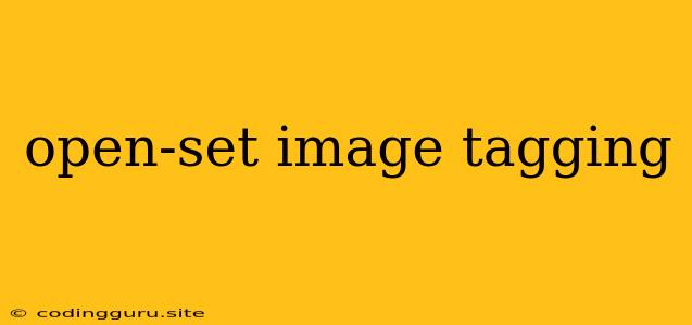 Open-set Image Tagging