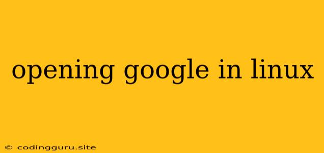 Opening Google In Linux