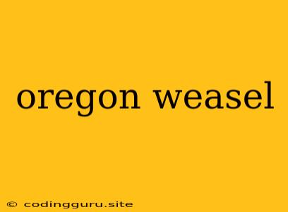 Oregon Weasel