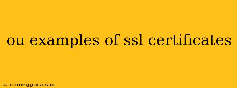 Ou Examples Of Ssl Certificates