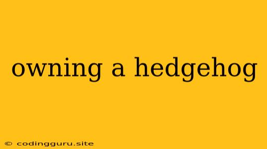 Owning A Hedgehog