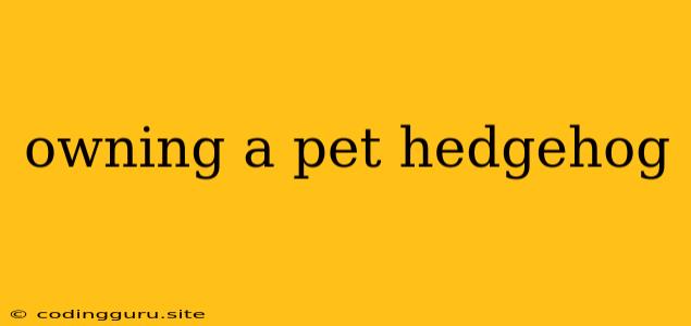 Owning A Pet Hedgehog