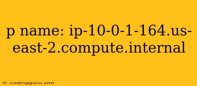 P Name: Ip-10-0-1-164.us-east-2.compute.internal