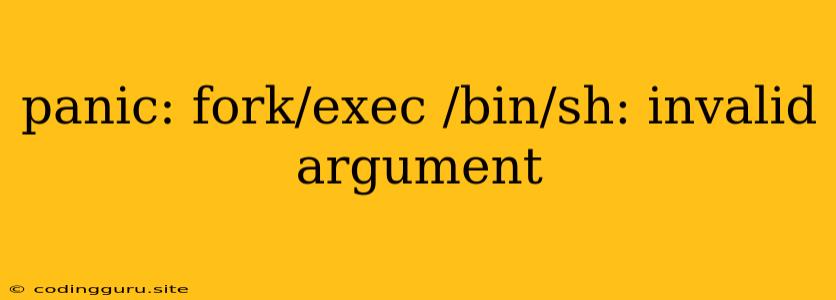 Panic: Fork/exec /bin/sh: Invalid Argument