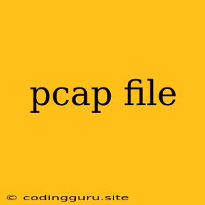 Pcap File