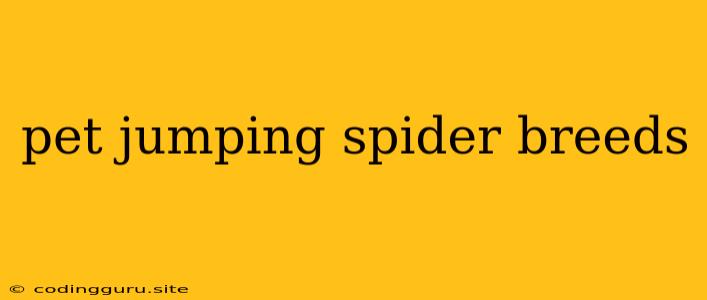 Pet Jumping Spider Breeds