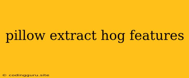 Pillow Extract Hog Features