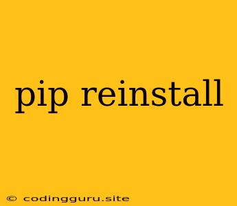 Pip Reinstall