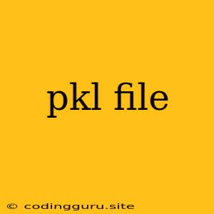 Pkl File