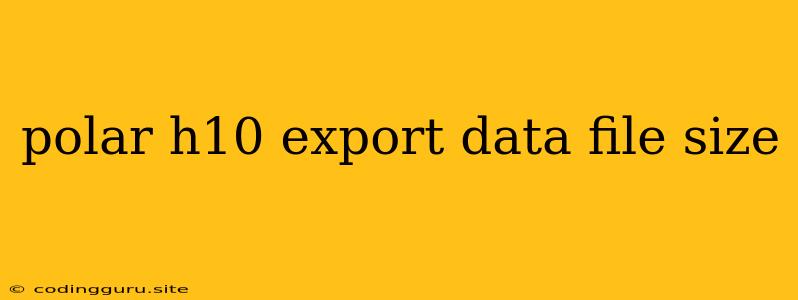 Polar H10 Export Data File Size