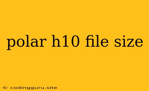 Polar H10 File Size