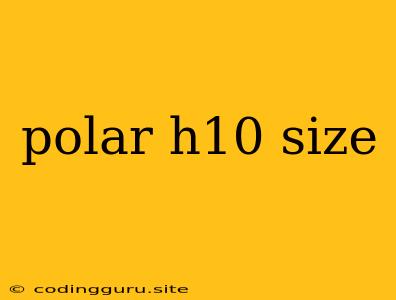 Polar H10 Size