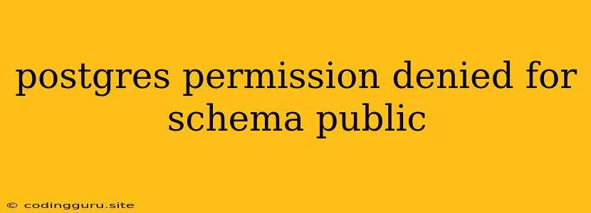 Postgres Permission Denied For Schema Public