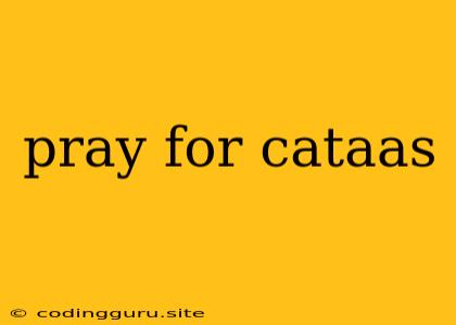 Pray For Cataas