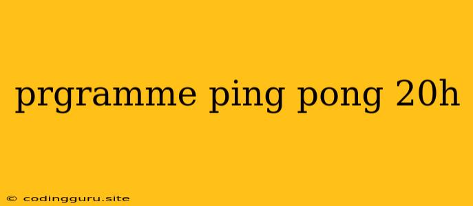 Prgramme Ping Pong 20h