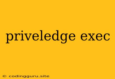 Priveledge Exec