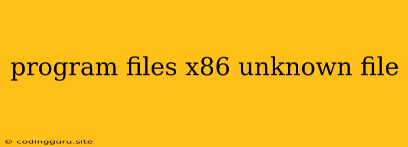 Program Files X86 Unknown File