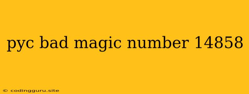 Pyc Bad Magic Number 14858