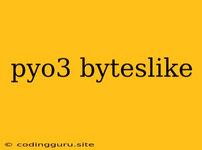 Pyo3 Byteslike