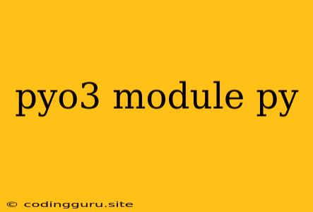 Pyo3 Module Py