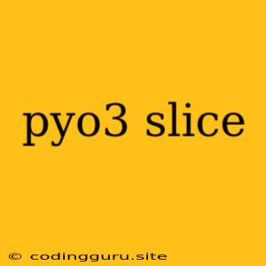 Pyo3 Slice