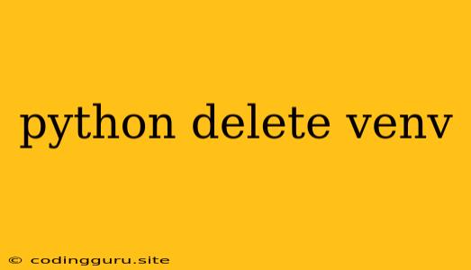 Python Delete Venv