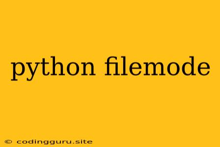 Python Filemode